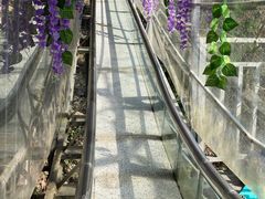-丹山赤水风景名胜区