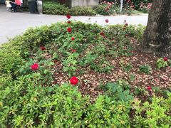 -上海港国际客运中心