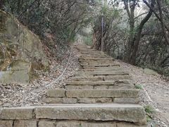 -杭州半山国家森林公园