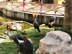 -灵玲国际马戏城