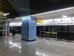 -大龙山(地铁站)