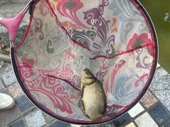 -酷鱼垂钓CLUB(朝阳区博大路店 )