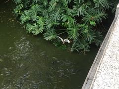 -人民公园(罗湖区)