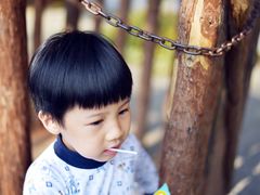 -合肥滨湖国家森林公园