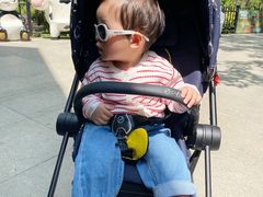 -合肥滨湖国家森林公园