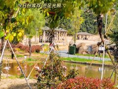 -杭州野生动物世界