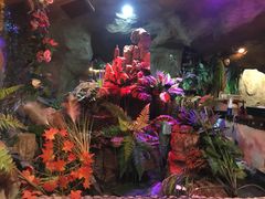 -醉小酒馆·川菜·江湖菜·重庆菜(观音桥旗舰店)