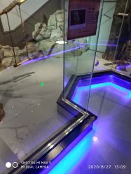 -未来动物城动物主题公园(大悦城店)