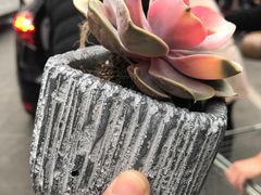 -Olé精品超市(重庆观音桥店)