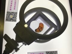 -上海昆虫博物馆