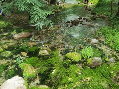 -玉渡山自然风景区