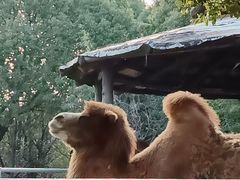 -常州淹城野生动物世界