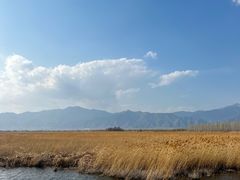 -野鸭湖国家湿地公园