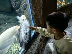 -苏州海洋馆