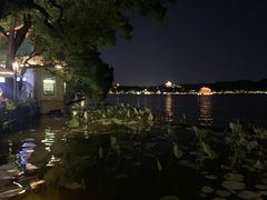 -湖畔居茶楼(湖滨店)