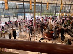 -宜春明月山维景国际温泉度假酒店