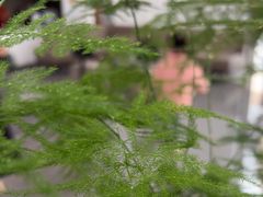-常熟玉蕙口腔医院