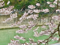 -红星桥(地铁站)