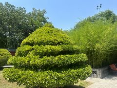 -天宁寺
