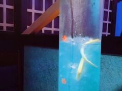 -蛮横肉蟹煲(印象城店)