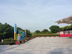 -碧海金沙