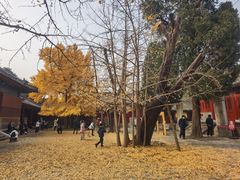 -承恩寺