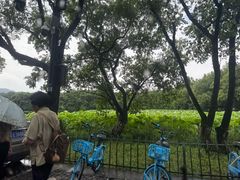 -杭州花家山庄