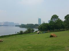 -飞来湖湿地公园