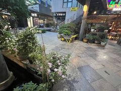 -阳光家常菜(泉乐坊店)