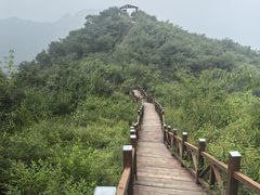 -大岭沟猕猴桃谷风景区