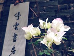 -珠海圆明新园