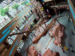 -安徽省地质博物馆