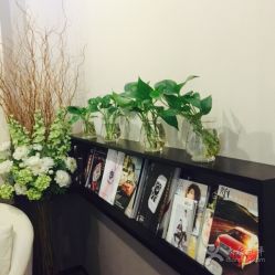 -史云逊养发护发