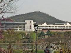 -羊山湖公园