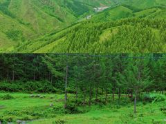 -苏木山森林公园