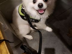 -冯记香辣兔火锅(茶店子总店)