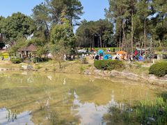 -铁山坪森林公园