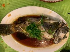 清蒸珍珠斑-盛港湾海鲜食府(黄沙店)