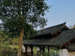 -杭州植物园