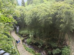 -莫干山风景区