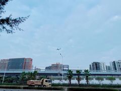 -宝安西湾红树林湿地公园