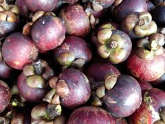 -红星农博物流中心