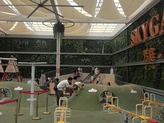 -国芳中心