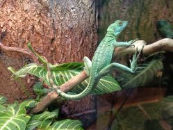 -酷嗒动物文化乐园(cutezoo西溪乐天城店)