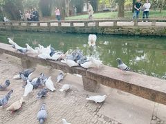-西园戒幢律寺