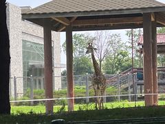 -石家庄市动物园