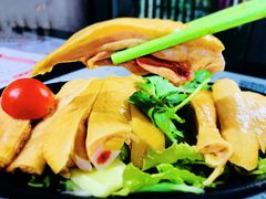 -绿柠食堂(北外滩店)