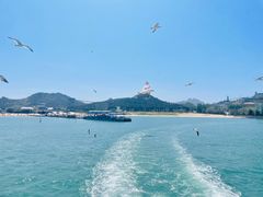 -海驴岛(荣成市)