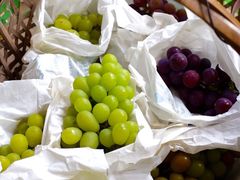 -马陆小张葡萄园农家乐