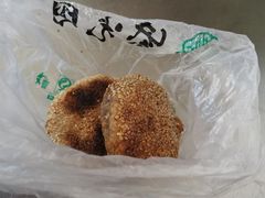 -紫光园清真北京小吃(正阳大街店)